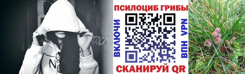 закладки  Партизанск  Галлюциногенные грибы прущие грибы 
